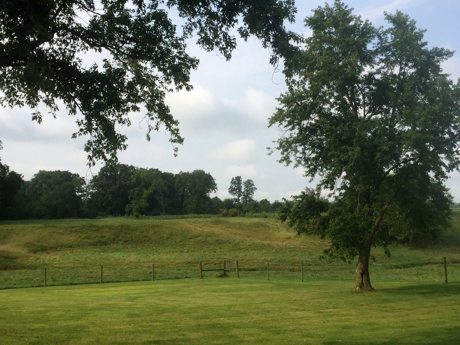 FARM AUCTION - 70.50+/- ACRES OFFERED IN 3 TRACTS IN WAYNE COUNTY, INDIANA
